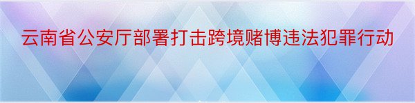 云南省公安厅部署打击跨境赌博违法犯罪行动